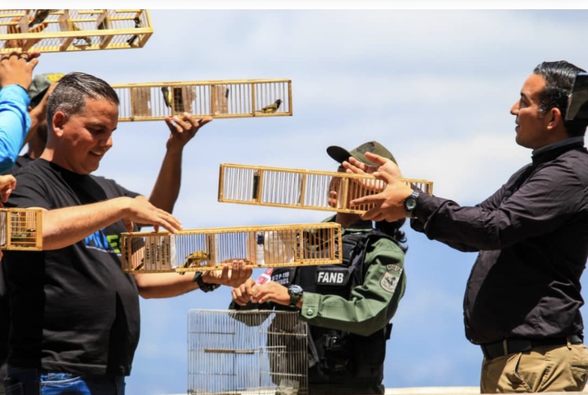 Aves víctimas del tráfico ilícito fueron liberadas en el Waraira Repano