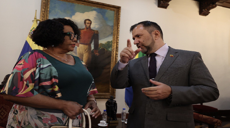 Estado venezolano explora nuevas oportunidades de cooperación con Sudáfrica