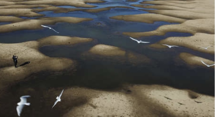 América Latina frente al cambio climático: una crisis que va más allá del daño ambiental