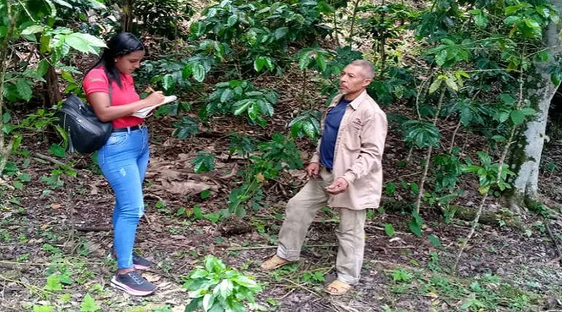 La CVC desarrolla jornadas de atención a productores de café