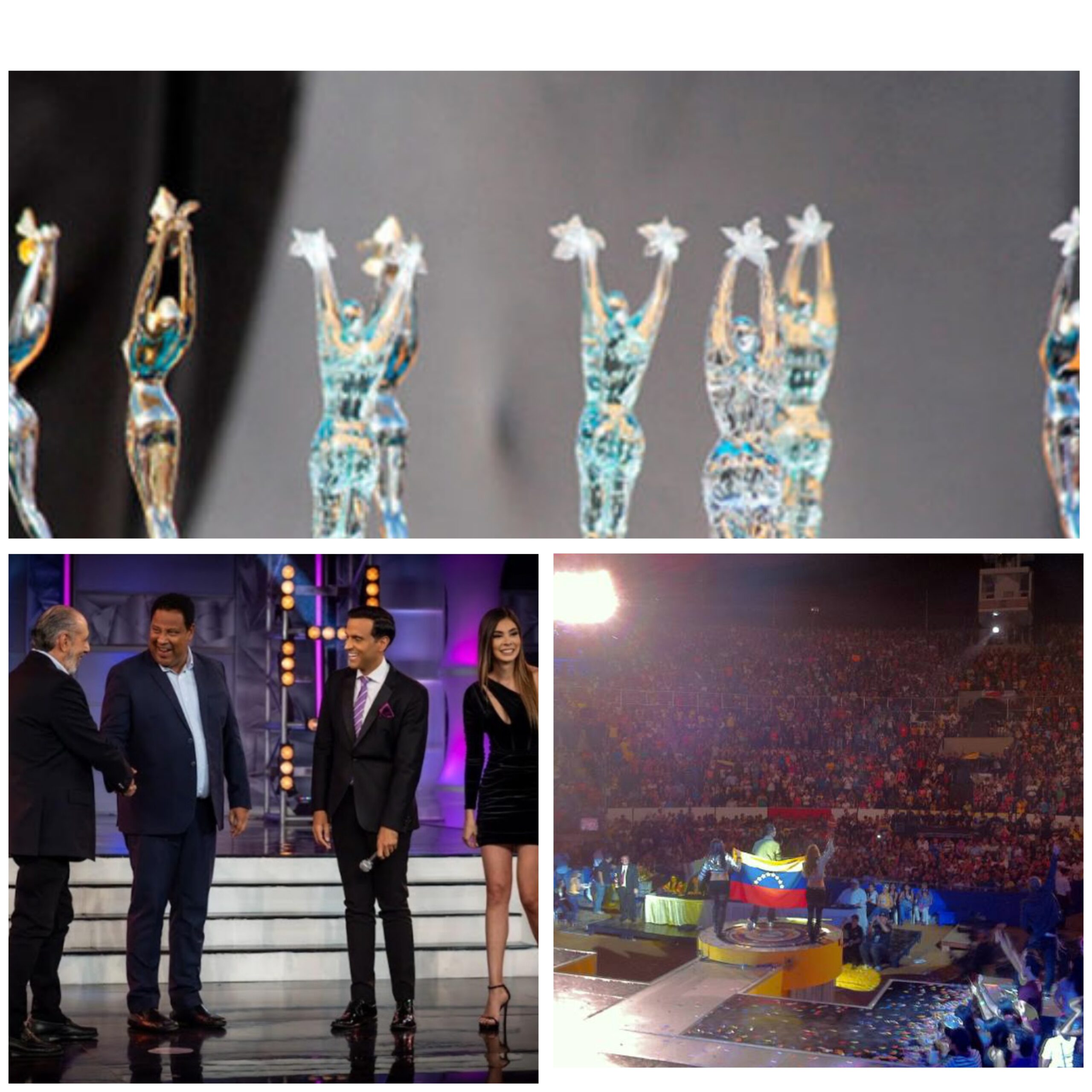 ¡Bella noticia! Festival Internacional de la Orquídea regresa a Maracaibo este 2023