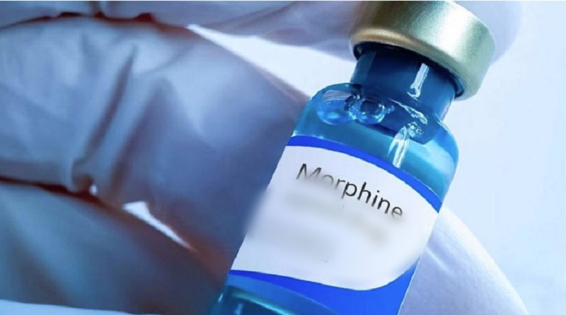 OMS alerta sobre desigualdad en acceso a morfina para uso médico
