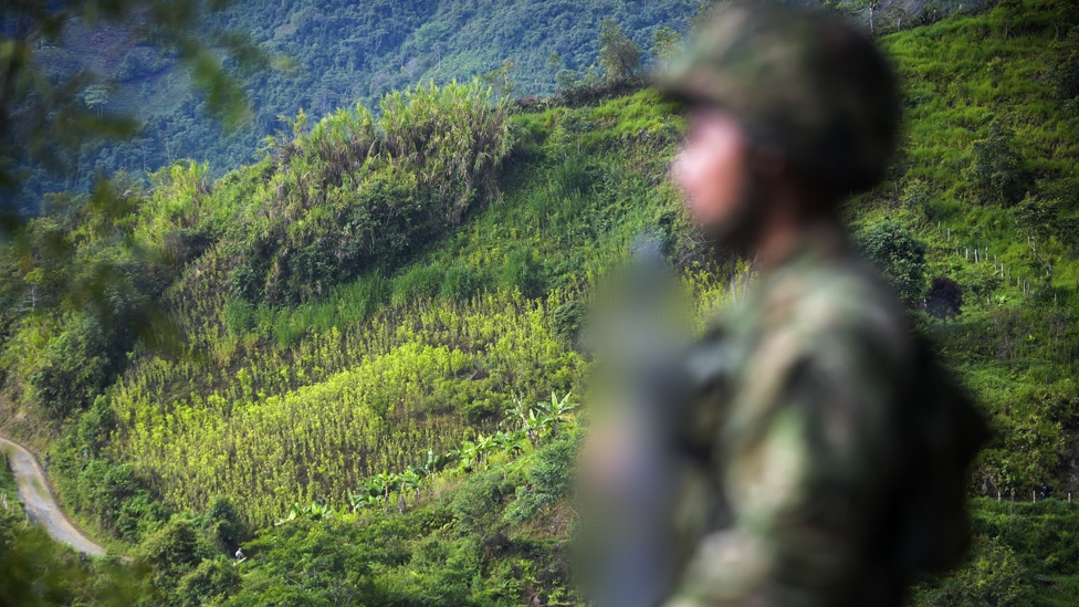 En Táchira «se redujo el paramilitarismo», afirmó Freddy Bernal