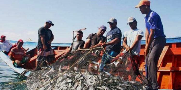 Ministerio para la Pesca y Acuicultura anunció programa de microfinanciamiento a pescadores del país