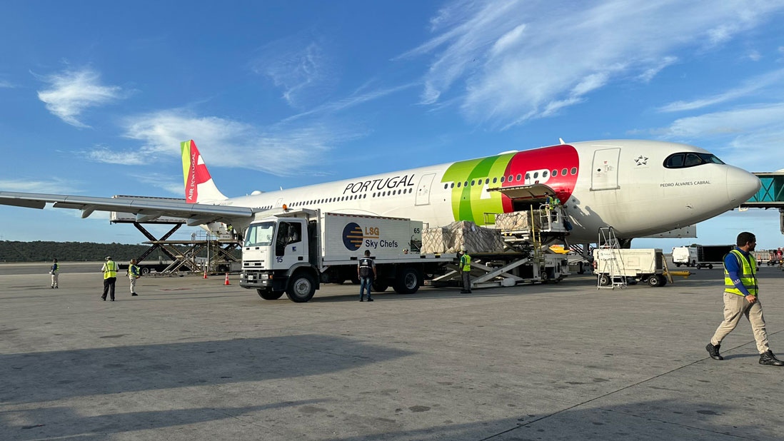 Arribó a Venezuela primer cargamento de 50 mil semillas de palma aceitera