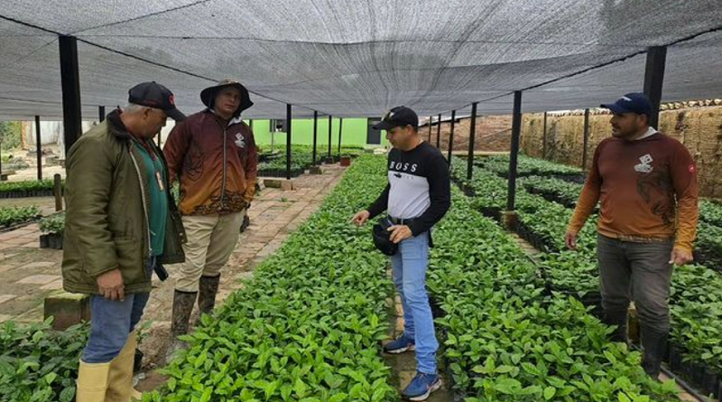 Avanza producción de cultivos de ciclo corto en el estado Táchira