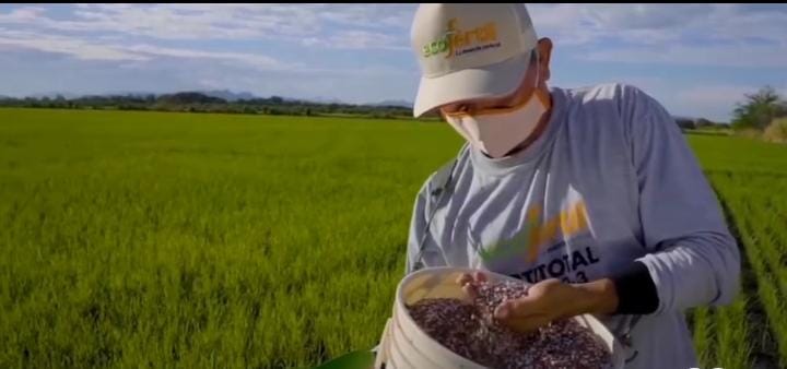 ¡Desarrollo agrícola y la seguridad alimentaria! Desde Monómeros filial de Pequiven reconocen a los campesinos colombianos en su día