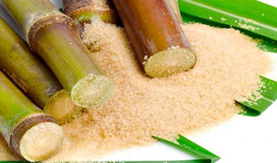 ¡Crecimiento económico! Elevan producción de azúcar en Portuguesa