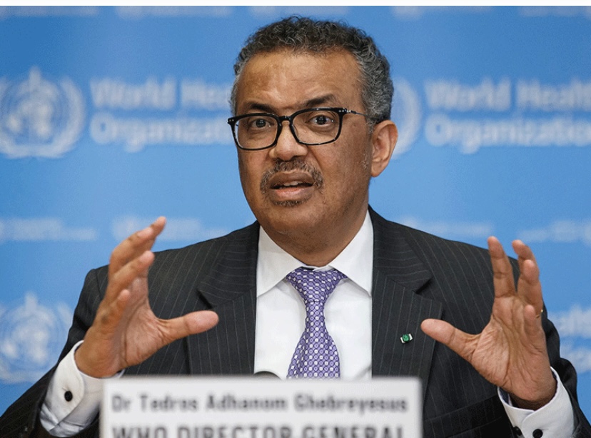 Piden crear vacuna experimental contra la gripe aviar en humanos