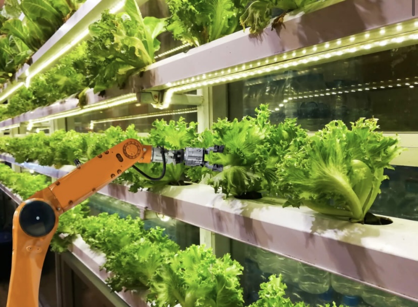 El futuro de la agricultura: drones de inteligencia artificial