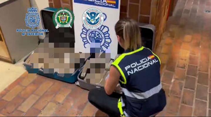Desarticulan una banda que enviaba a España cocaína con un logo con el rostro de Petro