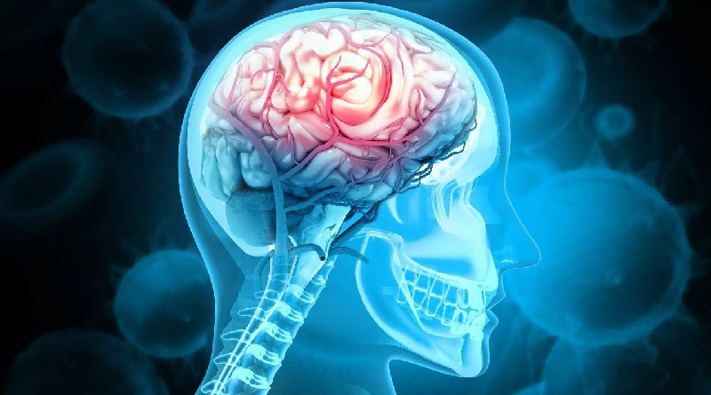 ¿Cómo afecta el chocolate la salud del cerebro?