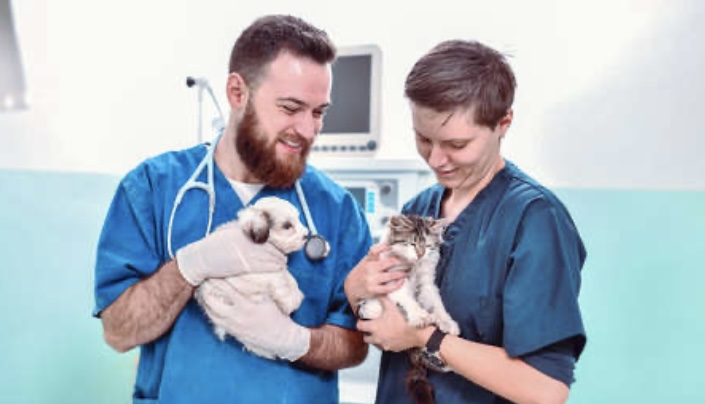 20 mascotas se someterán a un tratamiento experimental contra el cáncer en un reactor nuclear en Rusia