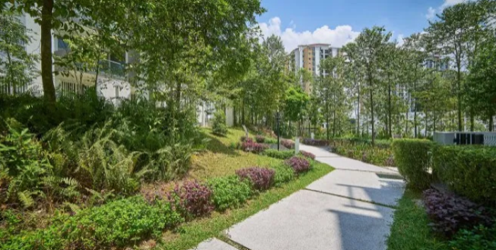 Vivir cerca de espacios urbanos verdes ralentiza el envejecimiento