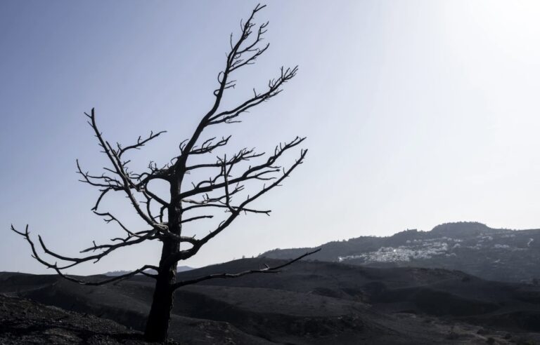 El fuego destruye viviendas y amenaza las reservas naturales del Mediterráneo