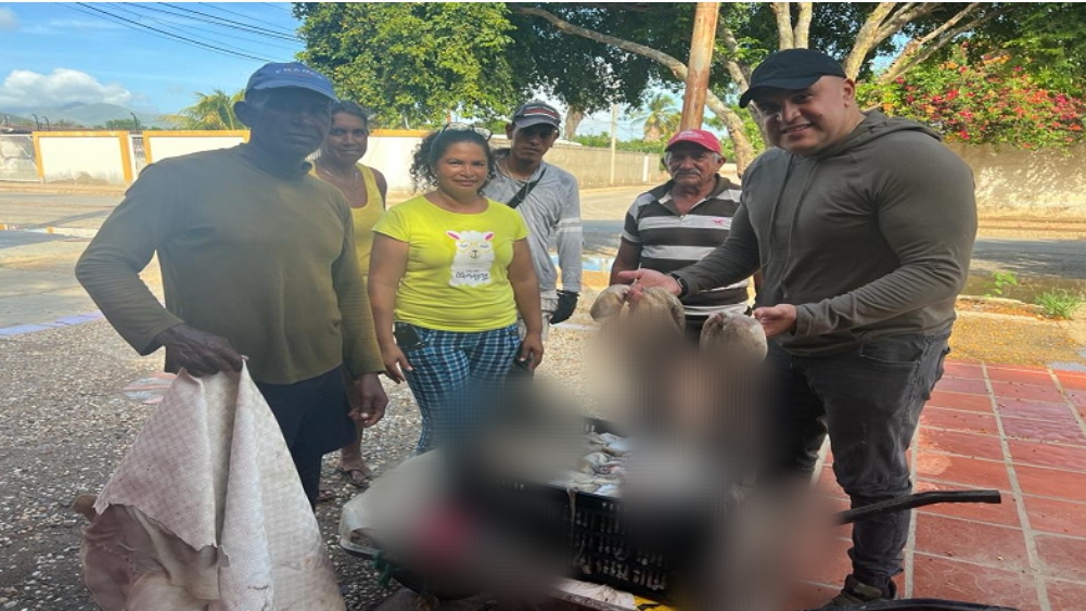 Autoridades supervisan captura de pulpo en comunidad pesquera de Nueva Esparta