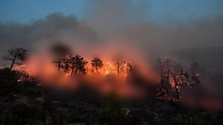 El Mediterráneo en llamas: incendios y calor extremo azotan a Grecia, Italia y Argelia