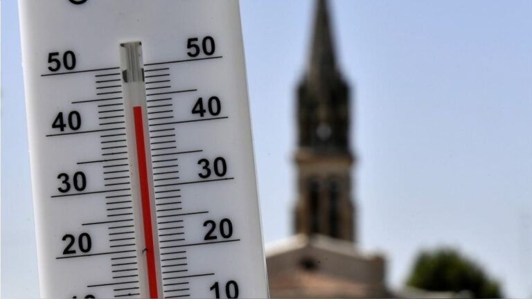 Agencia científica de la ONU confirma que la semana pasada rompió récord global de calor