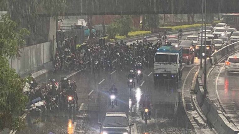 Árboles caídos y lagunas en las vías a causa de las fuertes lluvias en Caracas