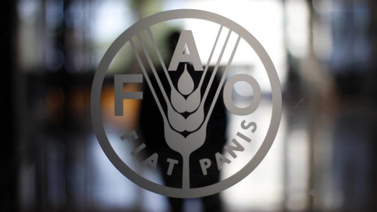 FAO anunció programa para apoyar a 175 mil venezolanos con la producción de alimentos