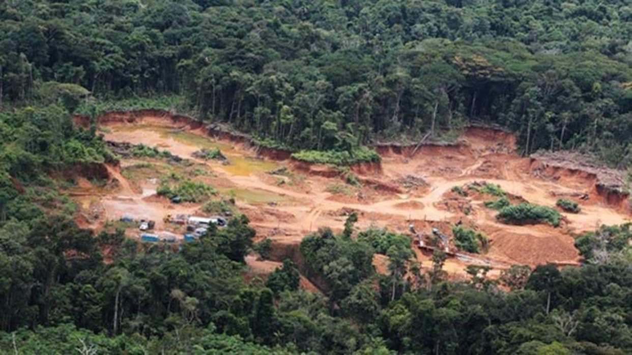 Gobierno nacional implementará plan de reforestación en zonas afectadas por la minería ilegal