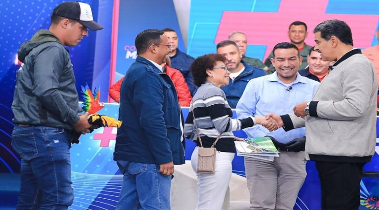 Venezuela ha liberado más de 980 mil tortugas Arrau para su preservación