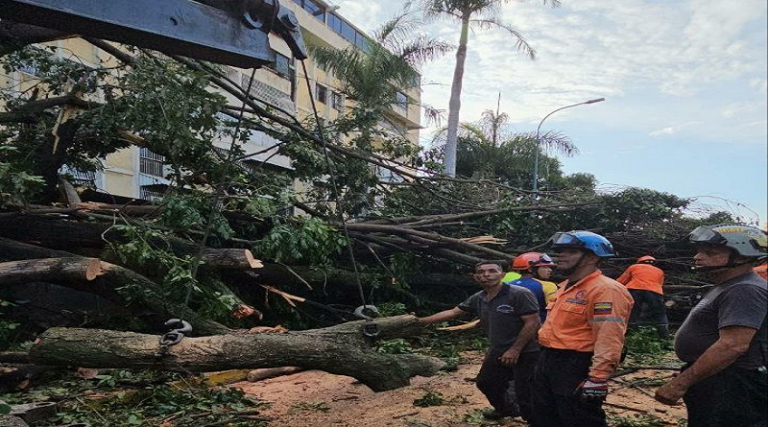 Gobierno nacional atiende parroquias de Caracas afectadas por las lluvias