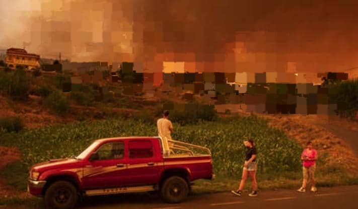 Miles de afectados y más de 13.000 hectáreas arrasadas: el saldo del incendio provocado en Tenerife