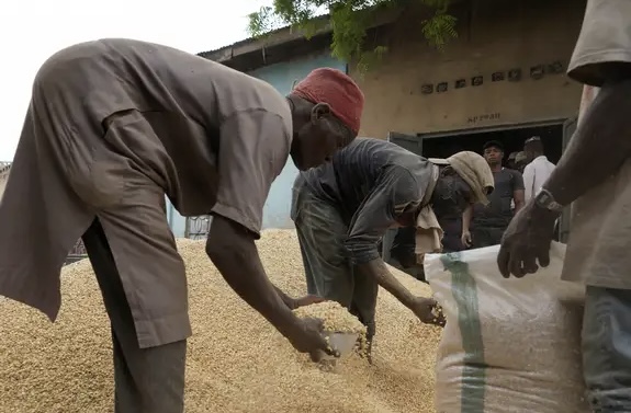FAO: precio de alimentos sube tras fin de acuerdo de granos