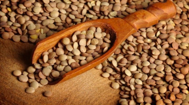 Conoce | Las lentejas regulan la digestión y reduce los niveles de colesterol