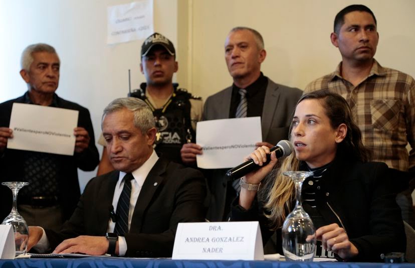 El partido de Villavicencio designa a Andrea González Náder como nueva candidata presidencial