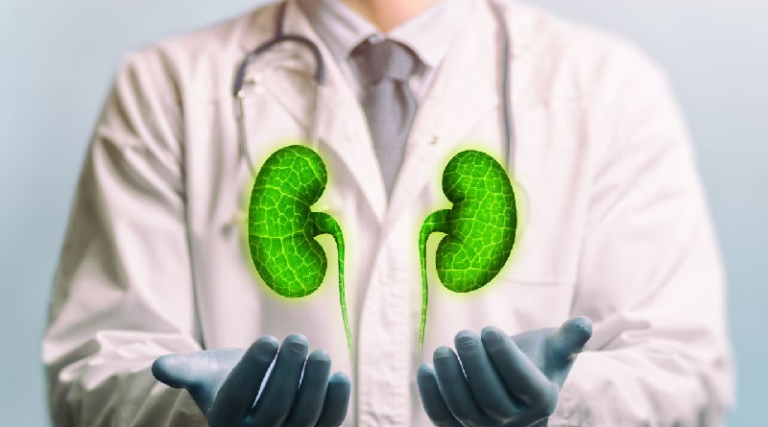 ¿Conoce cuál es la función de los riñones para el organismo?