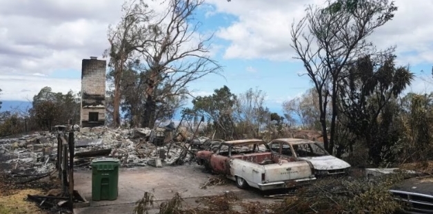 Hawaii trabaja en identificar a los 99 muertos que han dejado hasta ahora los incendios forestales