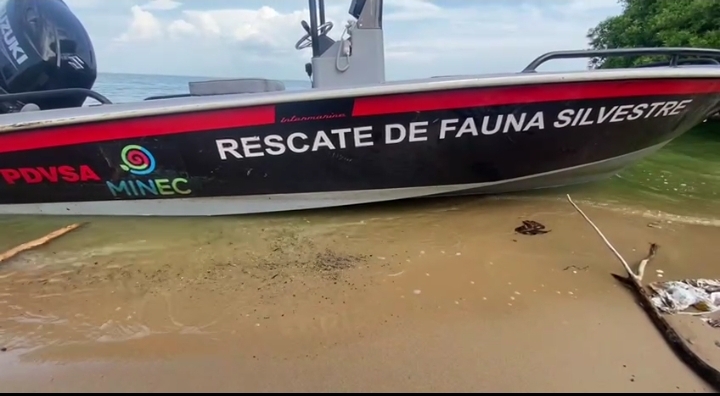 PDVSA entregó una lancha rápida para el monitoreo y atención de la fauna silvestre