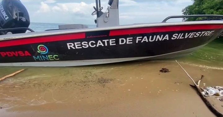 PDVSA entregó una lancha rápida para el monitoreo y atención de la fauna silvestre (+ Video)