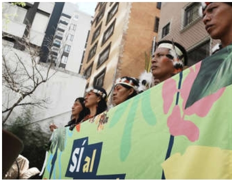 El voto en Ecuador le pone freno a la explotación petrolera en su santuario de diversidad