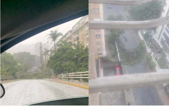 Árboles caídos por las fuertes lluvias en Caracas este 25 de agosto (+ Detalles)