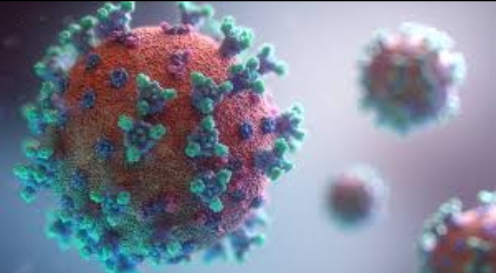 Desestiman en Egipto peligro de nueva variante del coronavirus