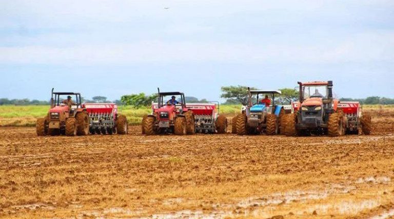 Zona Económica Especial Agroalimentaria potencia sector productivo en Guárico
