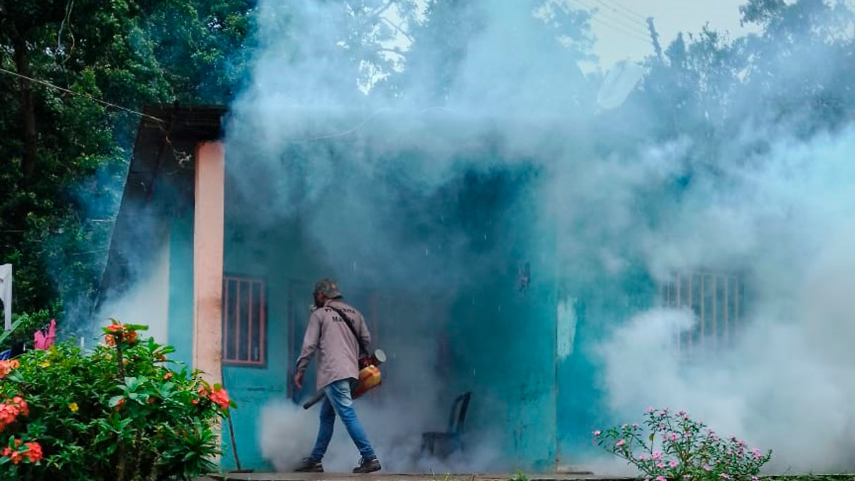 Fumigan cuatro sectores de Caripe por detección de 37 casos de Leishmaniasis