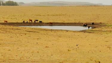 ¿Cuándo tendrá su punto máximo El Niño en Uruguay?