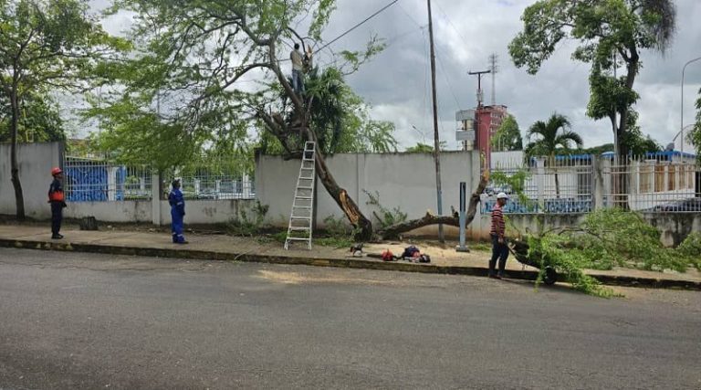 Avanza plan de modernización en el terminal terrestre de Maturín