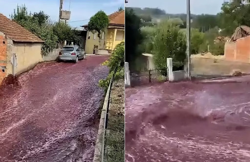 Un pueblo de Portugal se inundó accidentalmente con más de 2 millones de litros de vino tinto (+ Video)