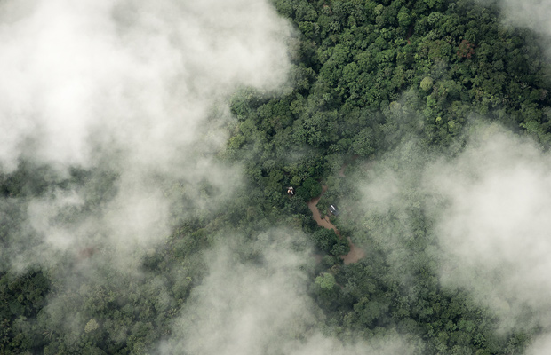 El proyecto Guacamaya busca preservar la Amazonía a través de la IA