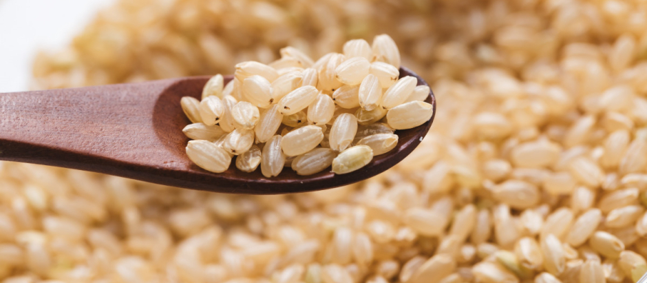 ¿Los alimentos integrales engordan menos?