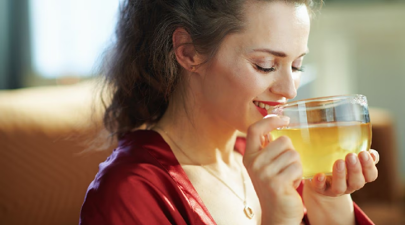 Entérate sobre los beneficios del consumo de salvia para la salud