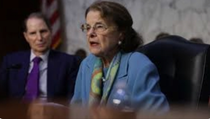 Precandidata de EE.UU.: «El Senado es el asilo de ancianos más privilegiado en el país»