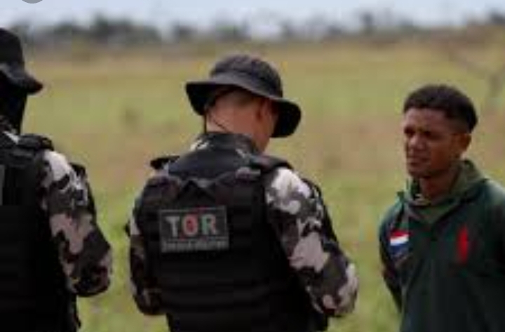 Policía de Brasil lanza operación contra el comercio ilegal de oro extraído de tierras yanomamis