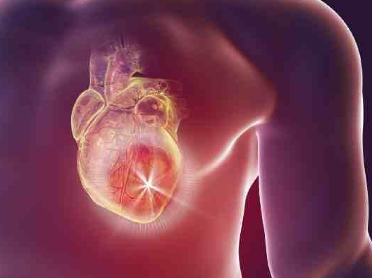 Descubren emociones que sienten las personas durante un paro cardíaco