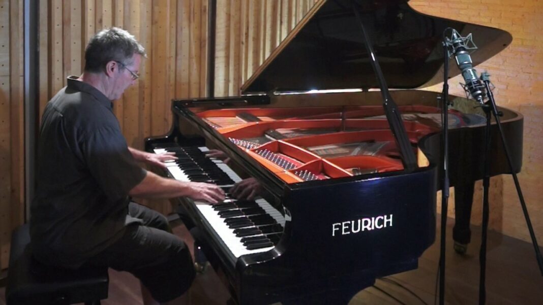 ¡Hermoso! Pianista dedica sus interpretaciones a estos animales